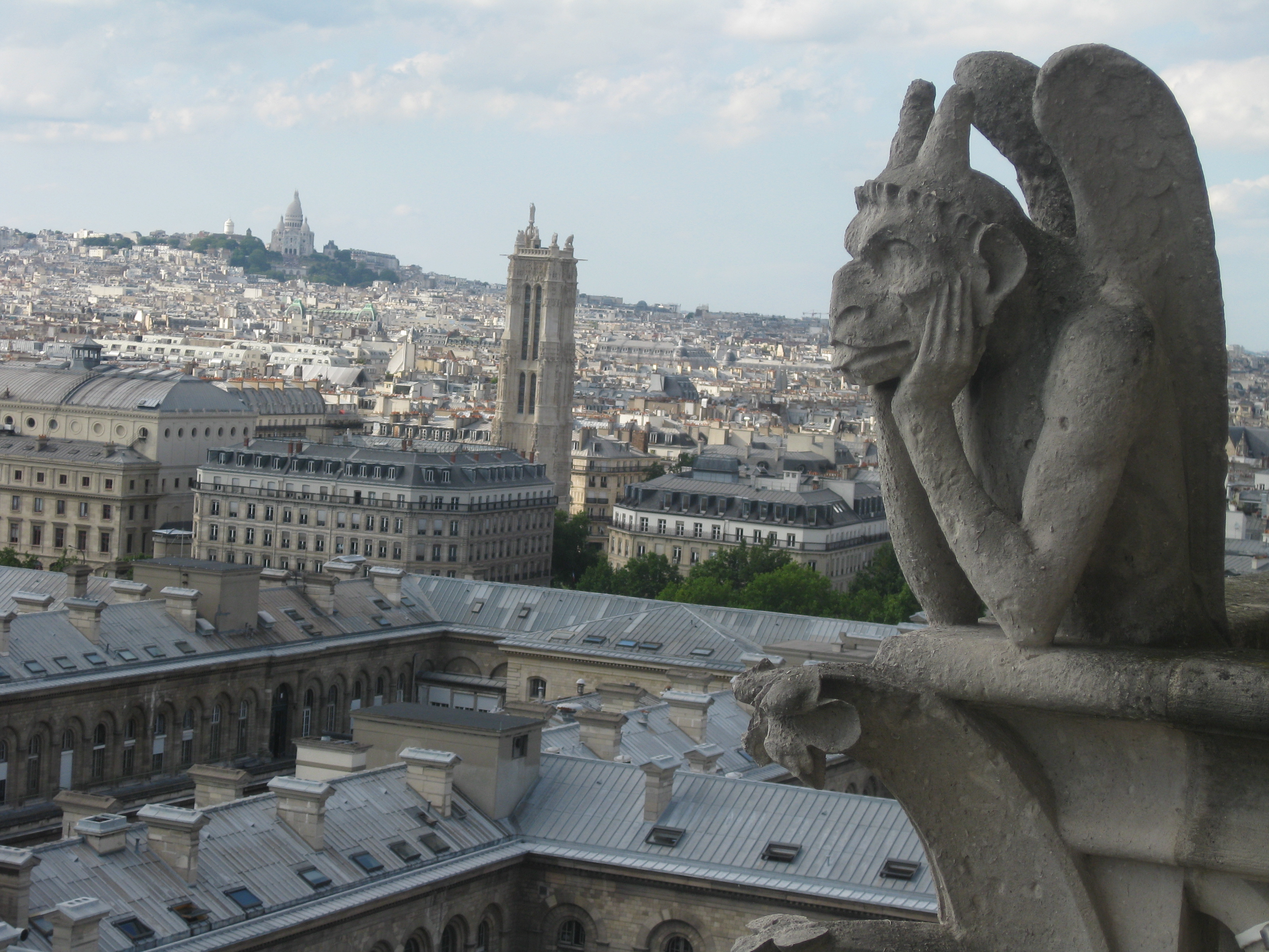 looking out at Paris from Notre Dame